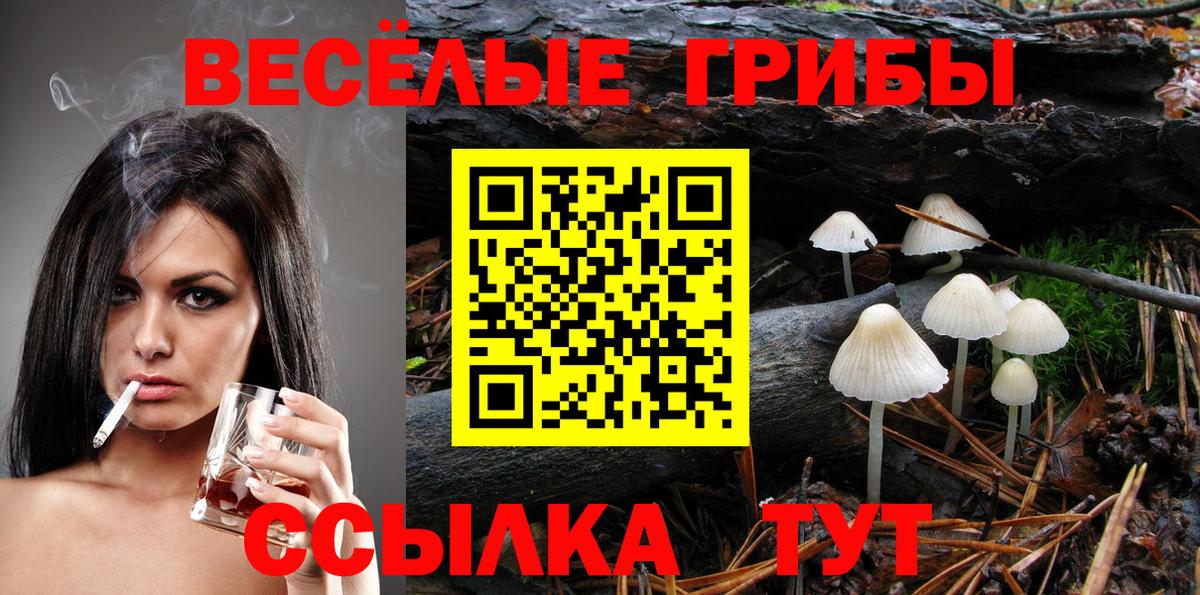 Псилоцибиновые грибы Psilocybine cubensis  Вход с VPN  Ишимбай 