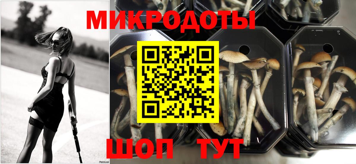 Псилоцибиновые грибы Magic Shrooms Ишимбай